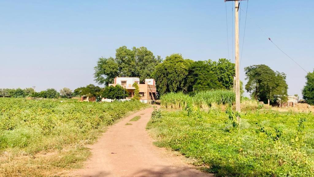 Ananya Farms Paradise Jodhpur  Exterior photo